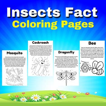 Insects Facts Coloring Pages. with fun Facts for kids. by Easy Learning ...