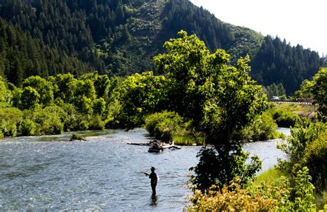 Officials make progress on Provo River Delta Restoration Project | News ...