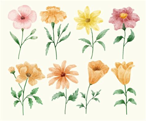 A set of flowers painted in watercolor for various cards and greeting ...