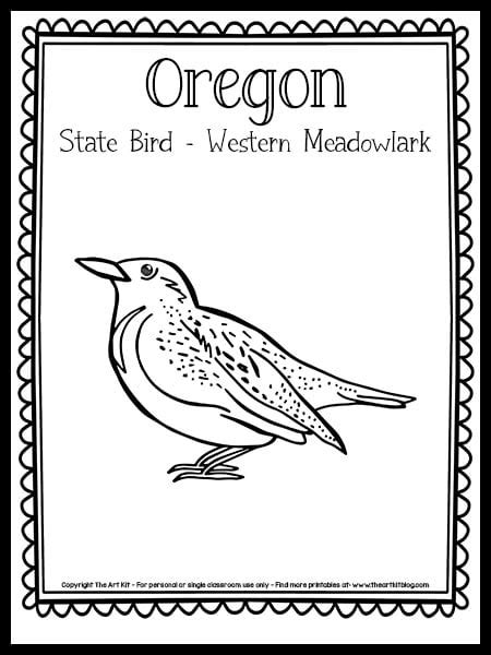 Oregon State Bird (Western Meadowlark) Coloring Page {FREE Printable!} - The Art Kit