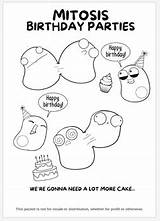 Amoeba Sisters Biology Themed Coloring Book  1st Edition By sketch template