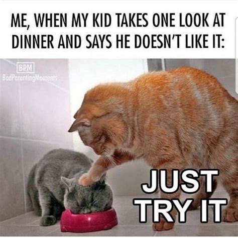 61 Funny Parenting Memes That Any Parent Will Relate To