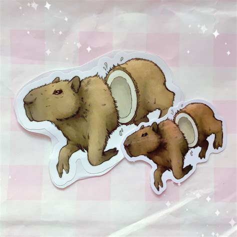 Coconut Dog Capybara Vinyl Sticker - Etsy UK