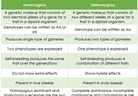 What is the Difference between Homozygous and Heterozygous