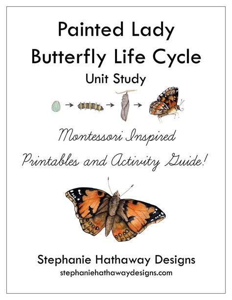 Painted Lady Butterfly Unit Study Bundle — Stephanie Hathaway Designs | Butterfly lessons ...