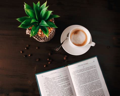 Free Images : ananas, coffee cup, drink, pineapple, leaf, table, plant, houseplant, bromeliaceae ...