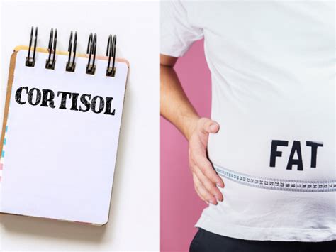 The Relationship Between Cortisol And Belly Fat – Synergised