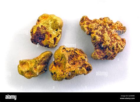 alluvial gold nuggets found in river photographed in studio on white background Stock Photo - Alamy