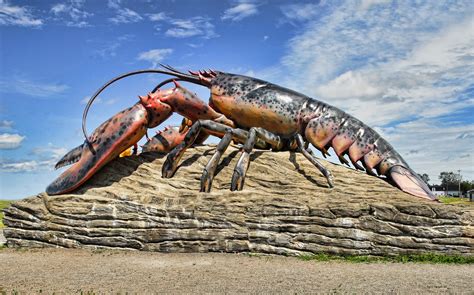 lobster-shediac – Buyoya