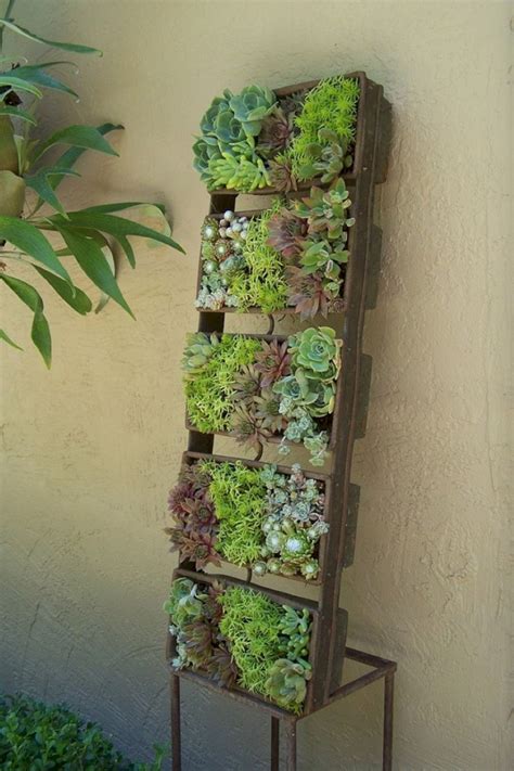 Brilliant Succulent Wall Planter Outdoor Hanging Vine Indoor Plants