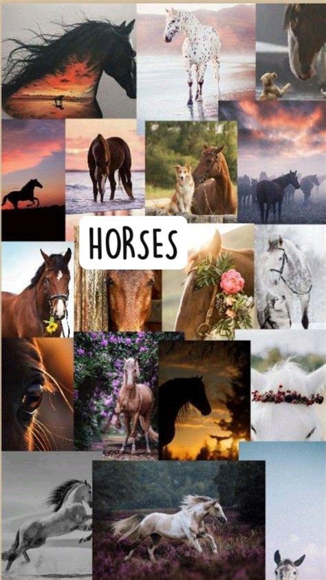 Free download HORSES Horse wallpaper Cute horse pictures Horse background [614x1092] for your ...