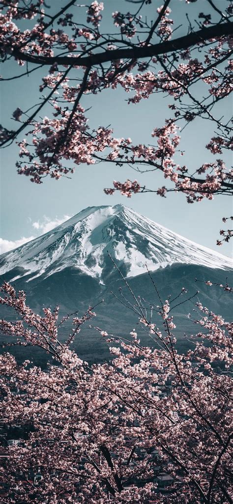 Monte Fuji Japon Wallpaper 4k - dsullana.com