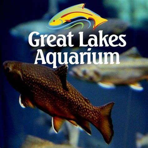 Great Lakes Aquarium - Pier B Resort - Duluth, Minnesota