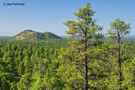 El Malpais National Monument – Joe Fuhrman Photography