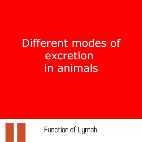 Different modes of excretion in animals - imaluop