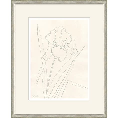 Bearded Iris Framed Art Print | Chairish