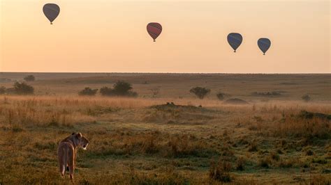 Hot Air Balloon Safari in Masai Mara, Kenya and FAQ