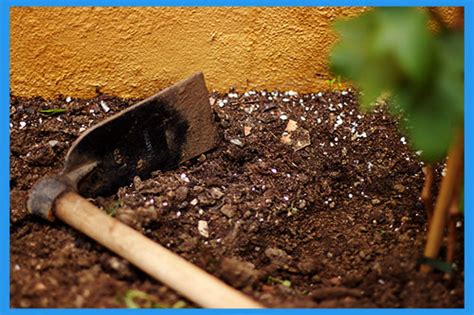 Tools for Beginner Gardeners - Fifthroom Living