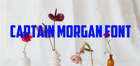 Captain Morgan Font Free Download