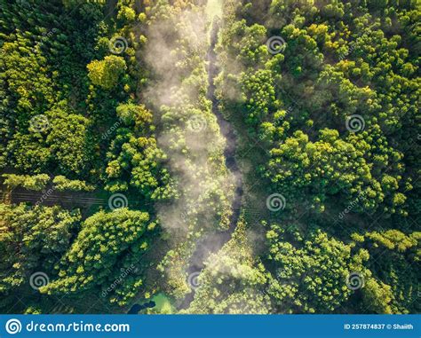 Aerial View of Foggy Valley in Autumn at Sunrise Stock Image - Image of misty, rays: 257874837