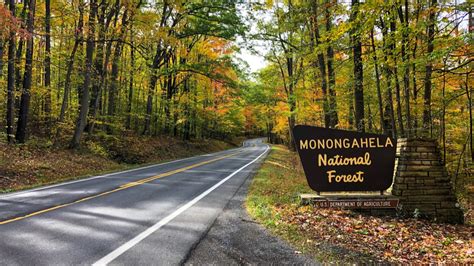 The Monongahela National Forest - Canaan Valley Running Company