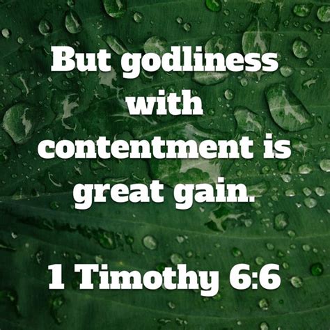 1 Timothy 6:6, New International Version (NIV) | Godliness with contentment, Bible apps, Cool words