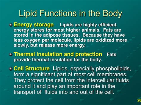 PPT - Lipids PowerPoint Presentation, free download - ID:4488229