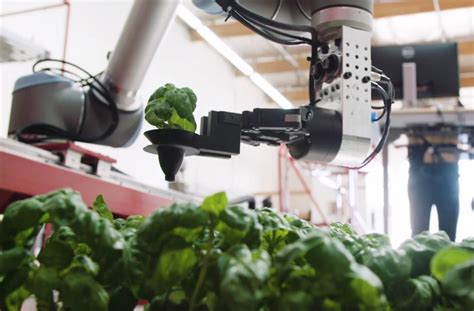 Robotics Hit US Indoor Farming & Hydroponics | Garden Culture Magazine