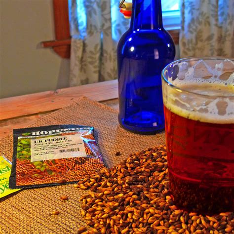 Irish Red Ale All Grain Recipe Kit - Box Brew Kits - Touch of Modern