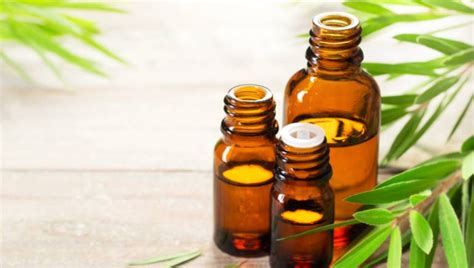 Tea tree oil for hair: 5 benefits of the essential oil you can't ignore | HealthShots