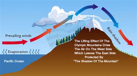 Cliff Mass Weather and Climate Blog: The Seattle Rain Shadow