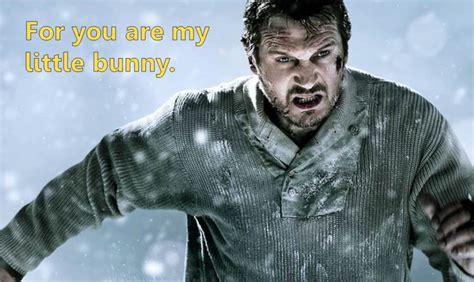 Bottom Shelf Books: Runaway Bunny starring Liam Neeson (@BookRiot)