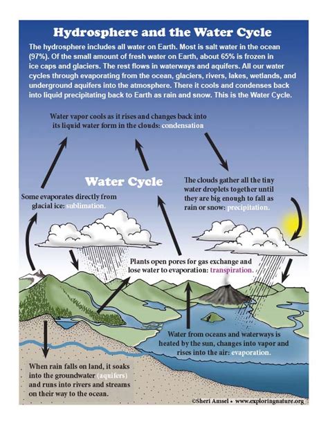 Grade 5 - Earth’s Systems - Downloadable Only