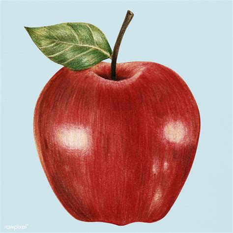 Illustration eines isolierten roten apfel aquarell stil | Premium-Bild ...