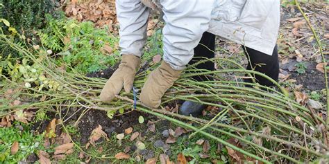 Tips for Preparing Vegetable Gardens For Winter - FoodPrint