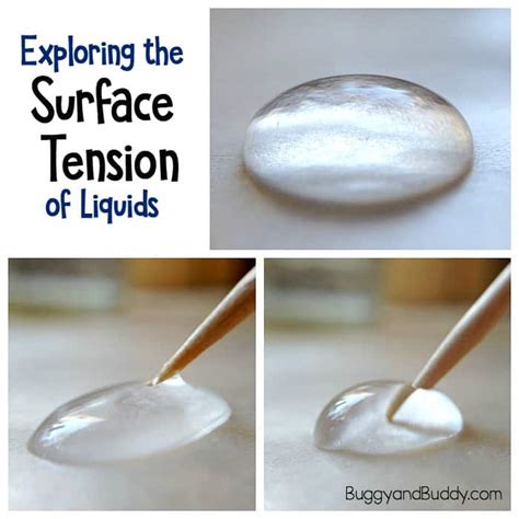 Science Experiments for Kids: Exploring Surface Tension - Buggy and Buddy