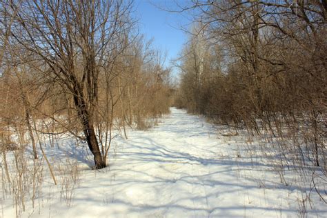 Valley hiking trail at Minnesota Valley State Park, Minnesota image - Free stock photo - Public ...