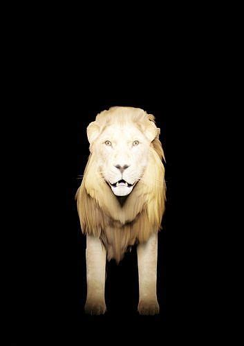 Lion for game 3D model rigged | CGTrader