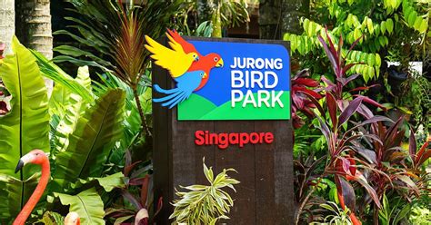 Audio guide JURONG BIRD PARK Tour Guide | MyWoWo