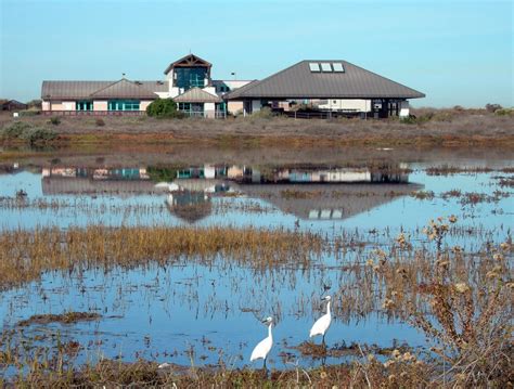 Explore the Living Coast Discovery Center in San Diego's South Bay