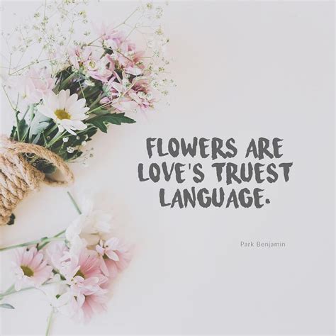 Pin by uploading photos on pics | Flower quotes love, Beautiful flower quotes, Flower quotes