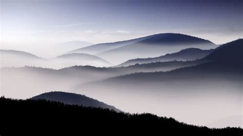 wallpaper dark forest | Dark Forest Mist | Dark forest, Nature desktop, Mountain background