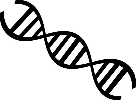 Dna Ciência Biologia - Imagens grátis no Pixabay - Pixabay