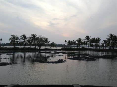 Kayamkulam Lake (Alappuzha, India): Top Tips Before You Go - TripAdvisor