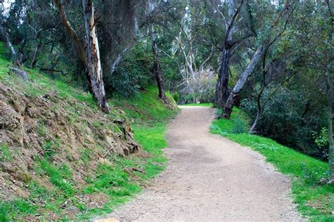 Elysian Park West Loop | Modern Hiker