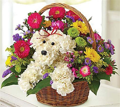 17 Beautiful Flower Arrangements For Dog Lovers