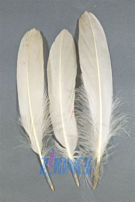 Natural Goose Feathers,100pcs/lot Champange Goose Satinettes Loose ...