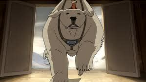 Polar bear Dogs - Avatar: The Last Airbender / The Legend of Korra Guide - IGN