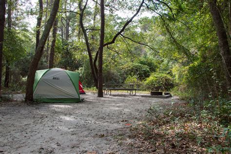 Carolina Beach State Park Campground | Outdoor Project