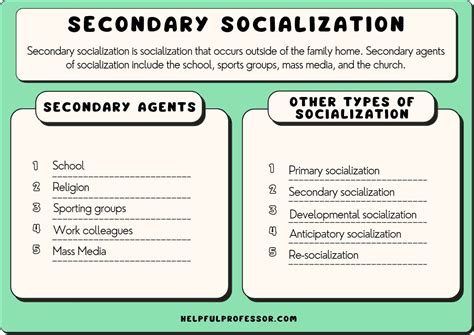 9 Best Secondary Socialization Examples (2024)